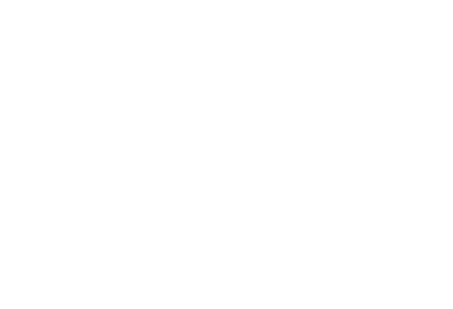 De Nieuwe Scene logo