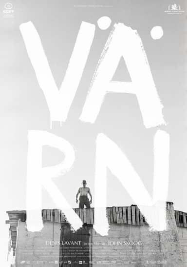 poster image