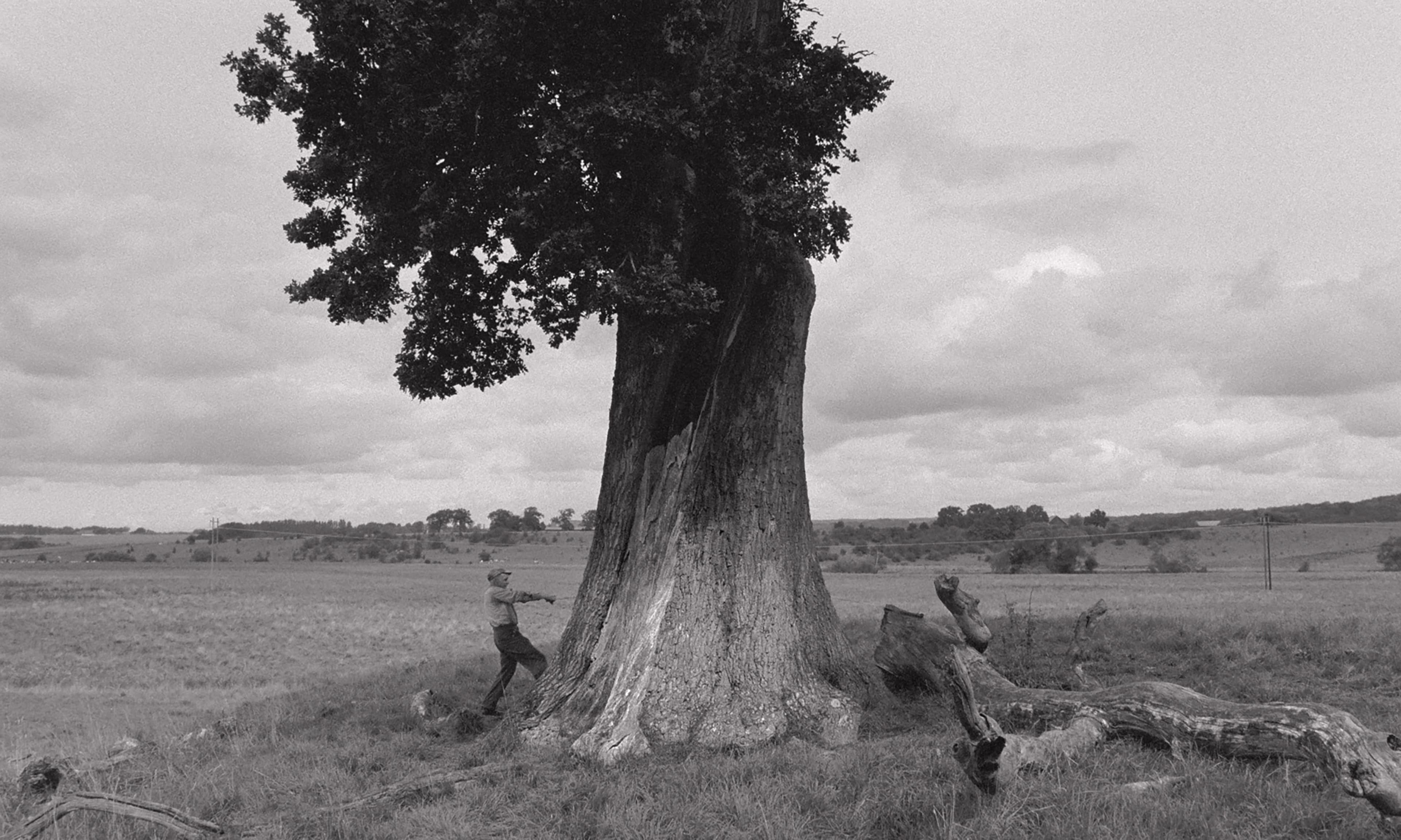 Still image