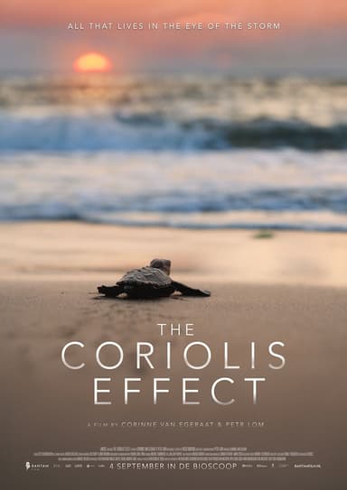 The Coriolis Effect
