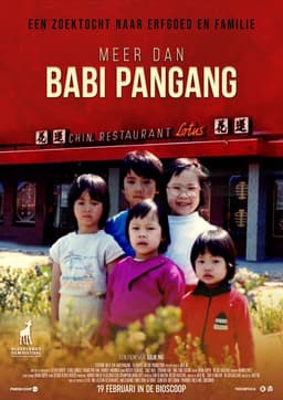 Meer dan Babi Pangang poster