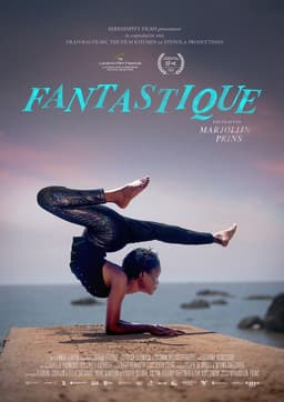 Fantastique poster
