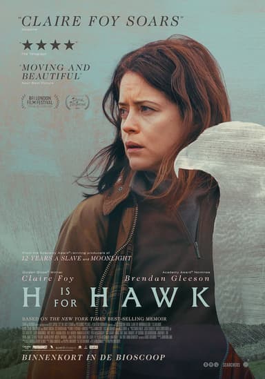 poster image