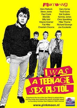 I Was A Teenage Sex Pistol poster