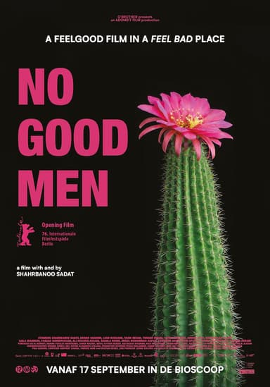 poster image