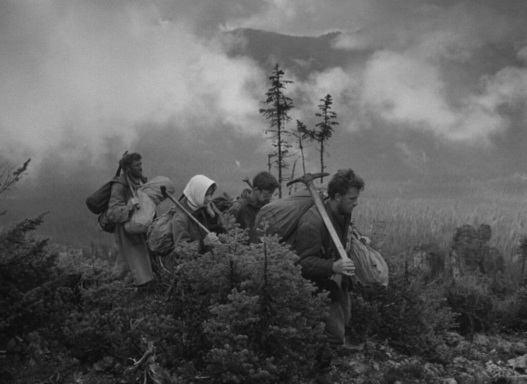 still image