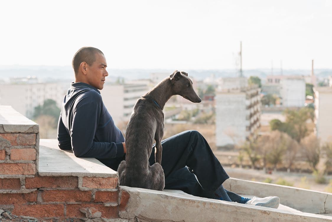 still van de film Black Dog