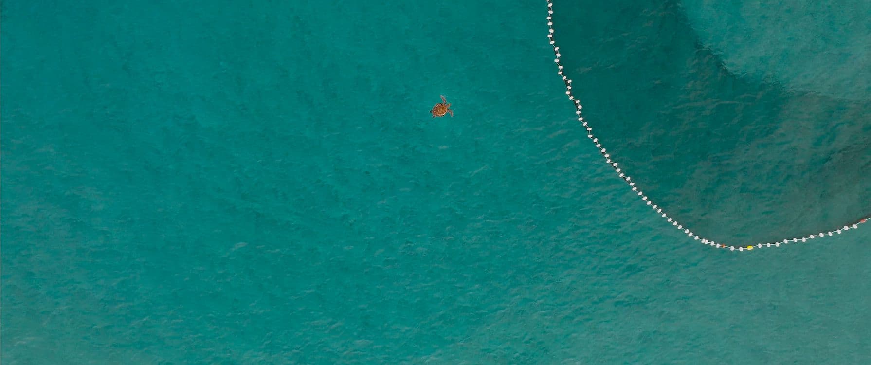 still image