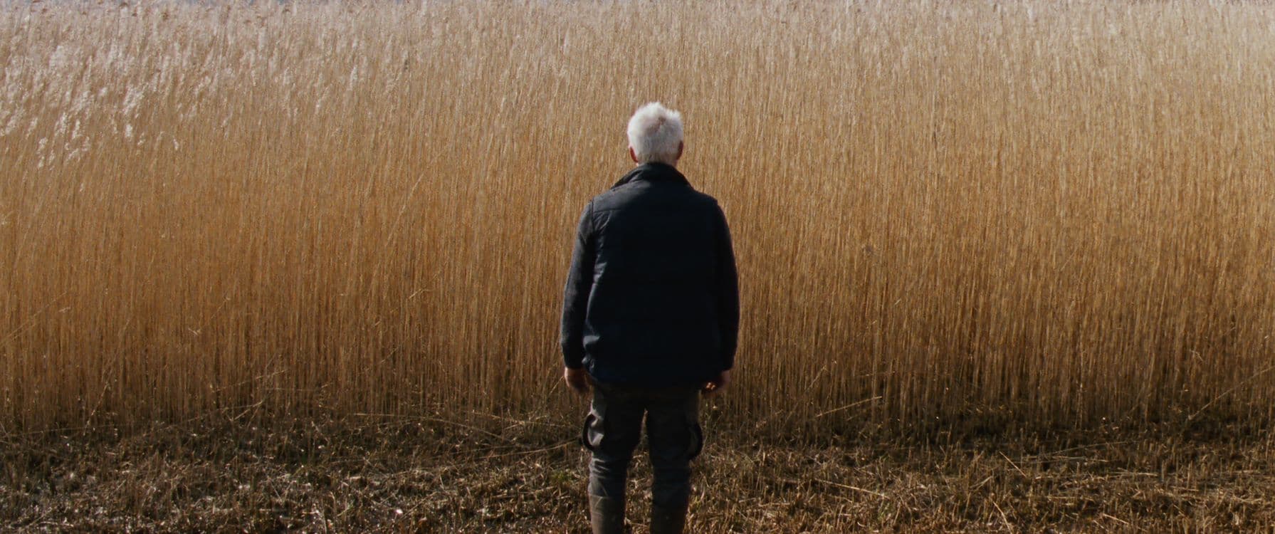 still van de Nederlandse film Rietland