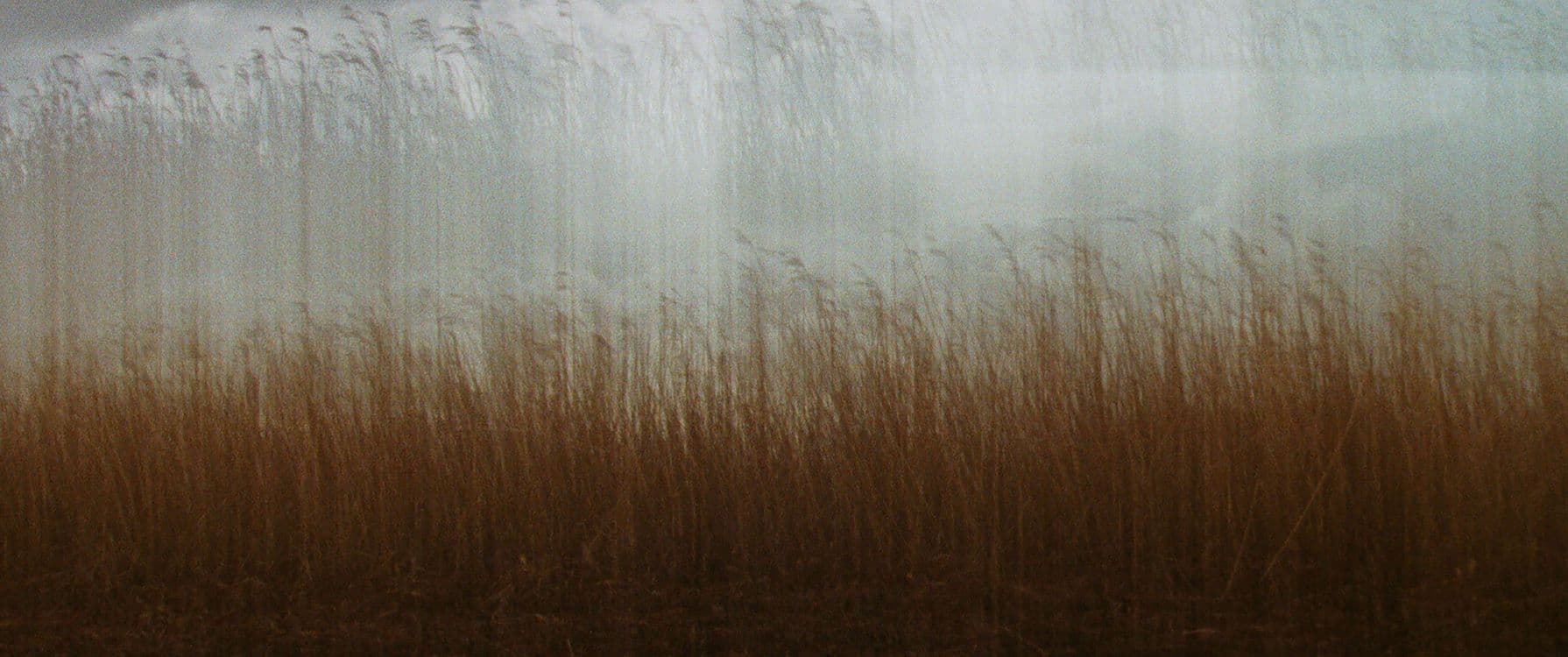 still image