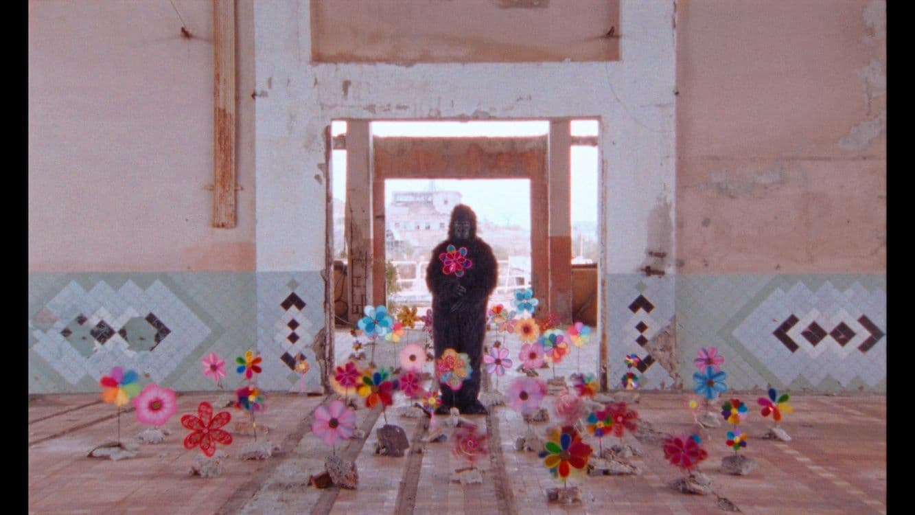 Still image